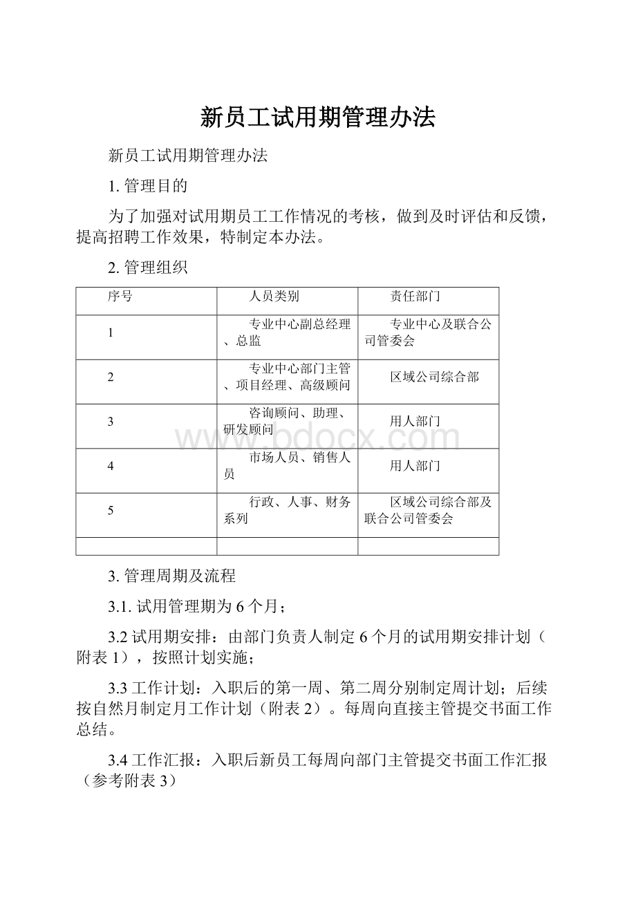 新员工试用期管理办法.docx