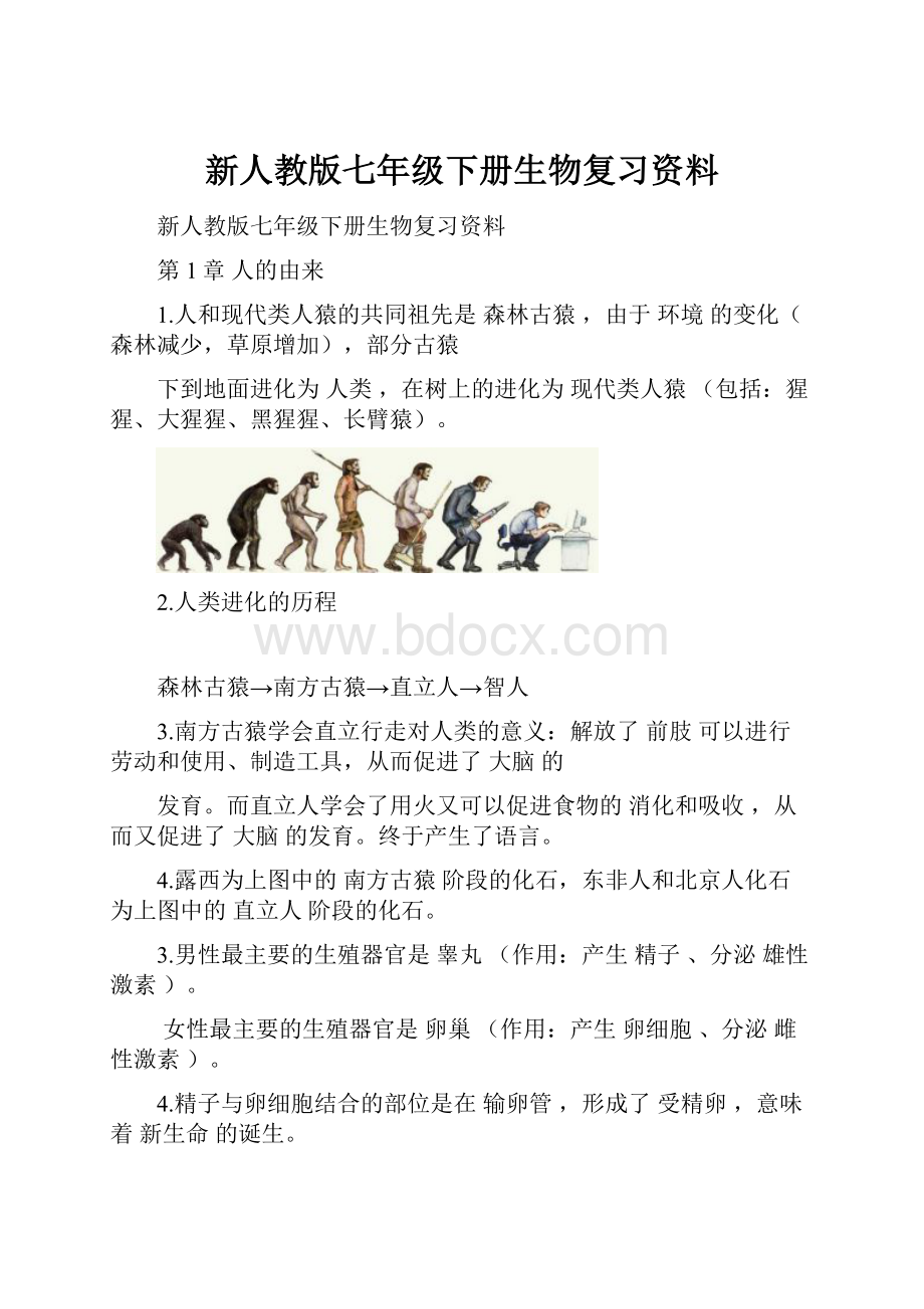 新人教版七年级下册生物复习资料.docx