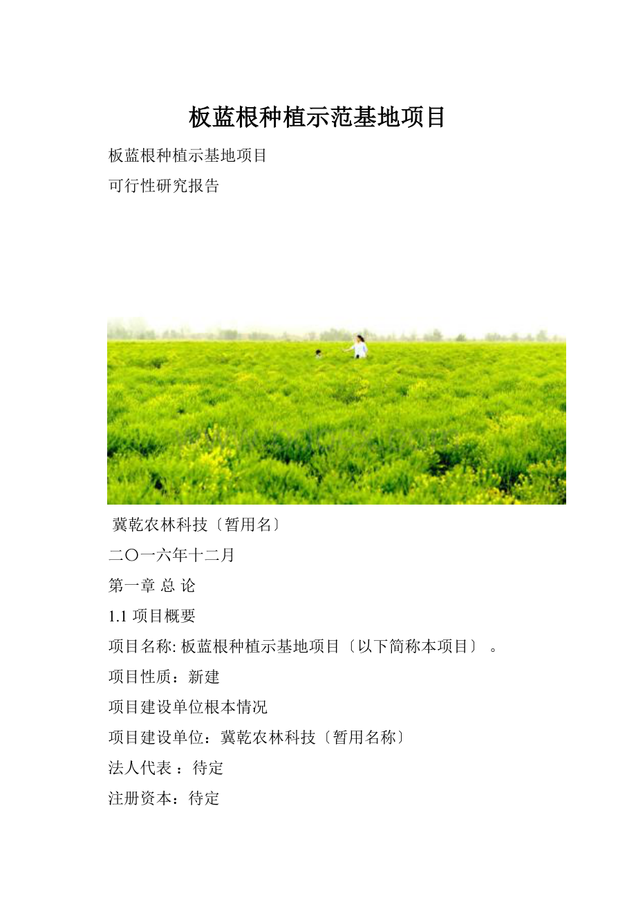 板蓝根种植示范基地项目.docx_第1页