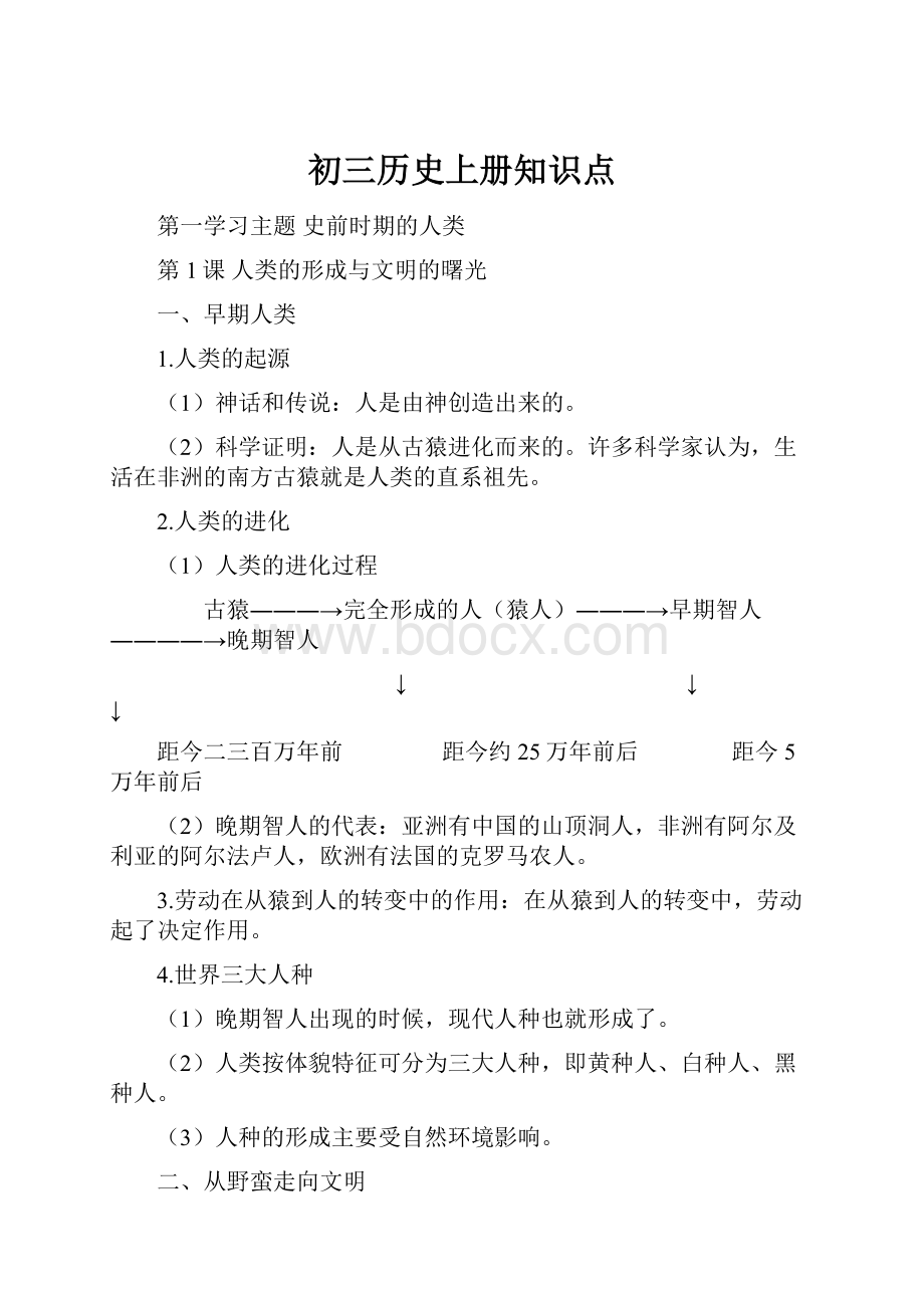 初三历史上册知识点.docx