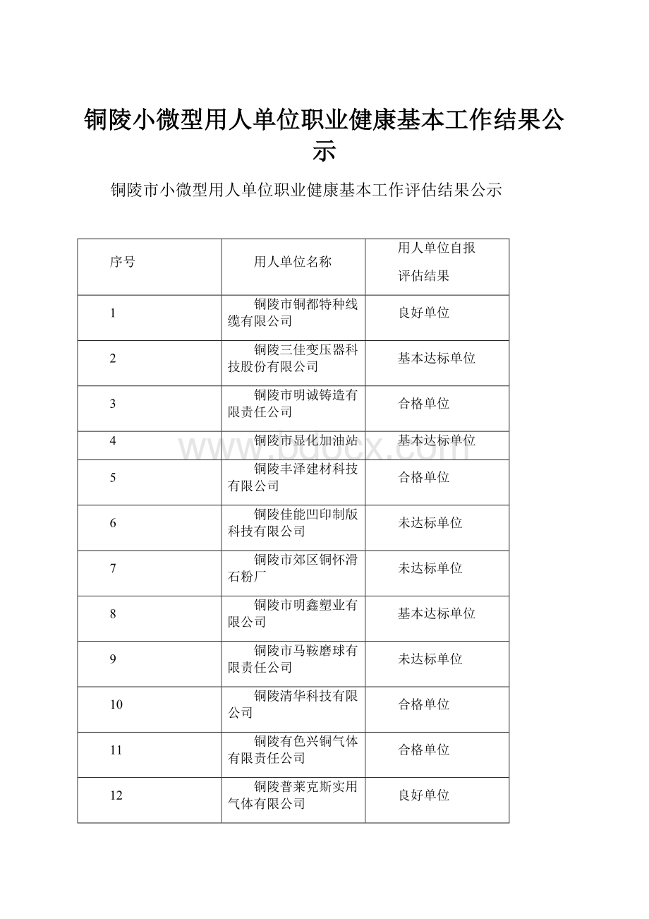 铜陵小微型用人单位职业健康基本工作结果公示.docx