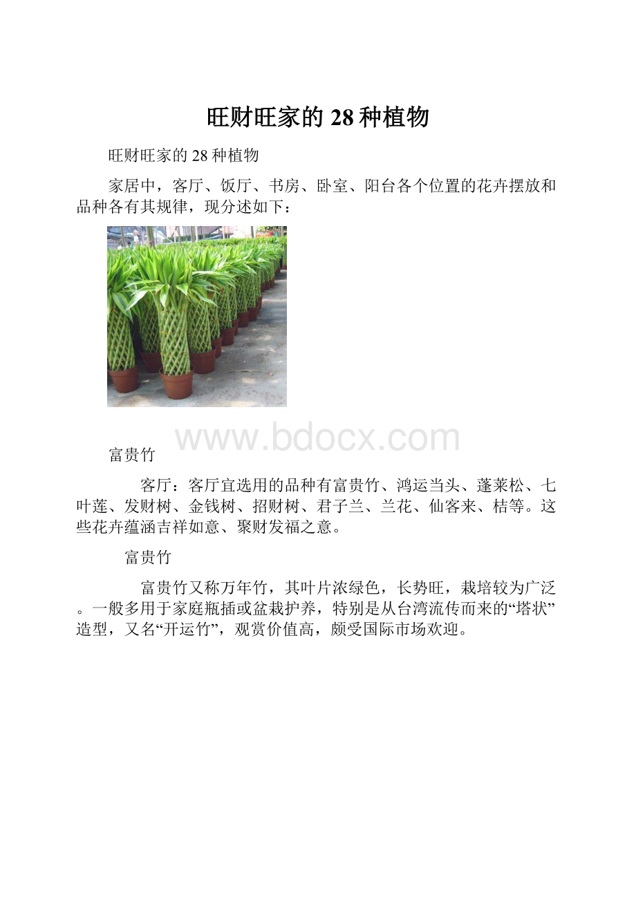 旺财旺家的28种植物.docx