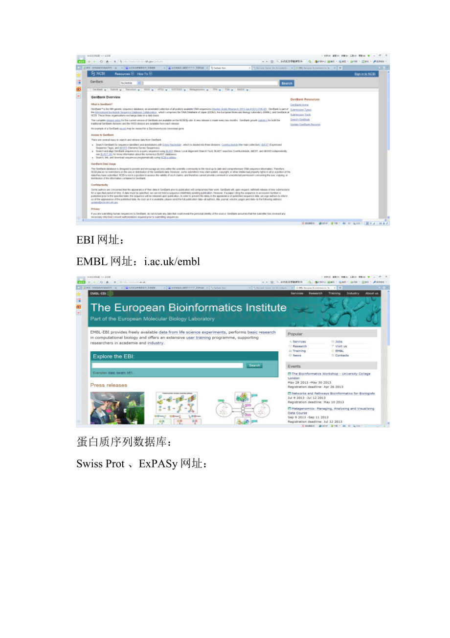 生物信息学实验报告.docx_第2页