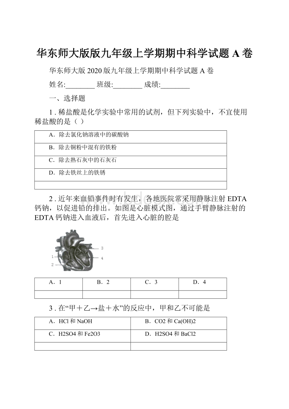 华东师大版版九年级上学期期中科学试题A卷.docx