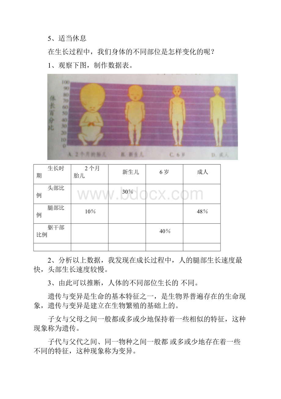 苏教版六年级科学下册总复习知识点.docx_第2页