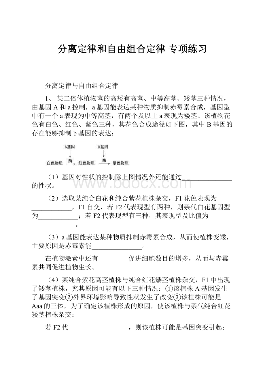 分离定律和自由组合定律专项练习.docx