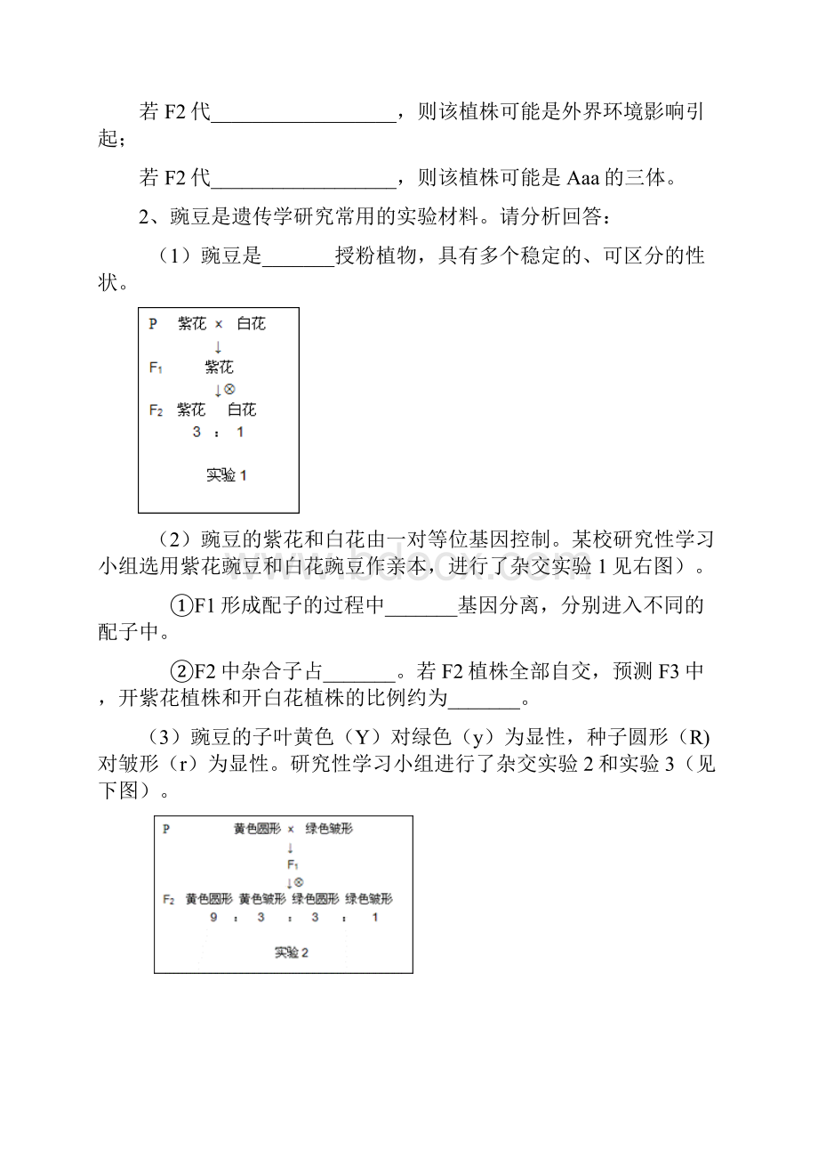 分离定律和自由组合定律专项练习.docx_第2页