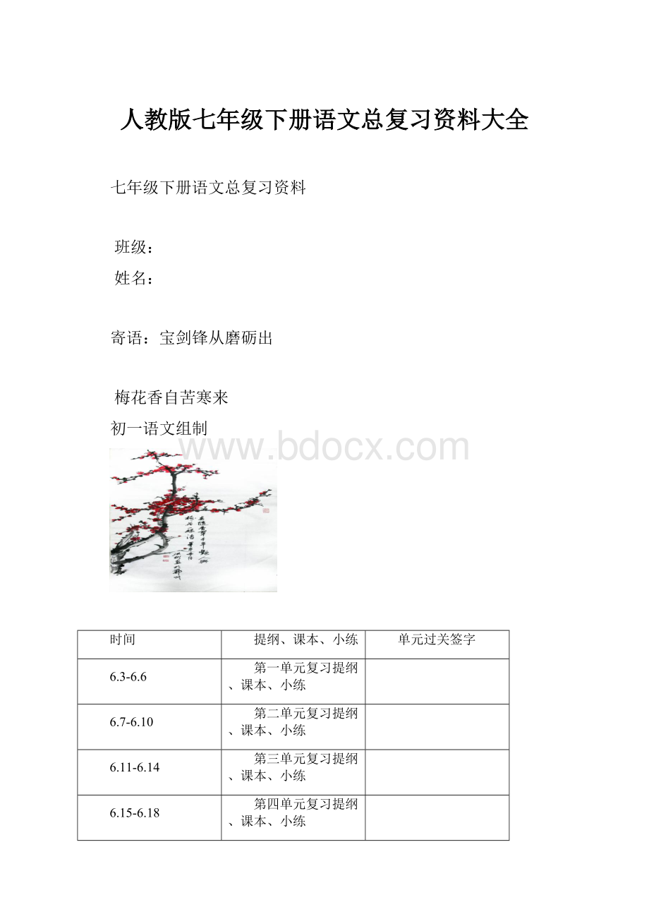 人教版七年级下册语文总复习资料大全.docx