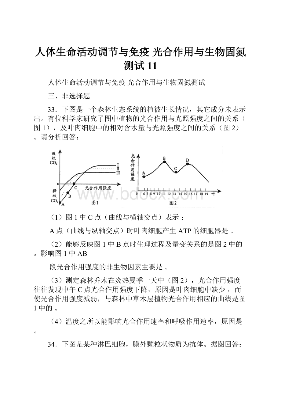 人体生命活动调节与免疫光合作用与生物固氮测试11.docx