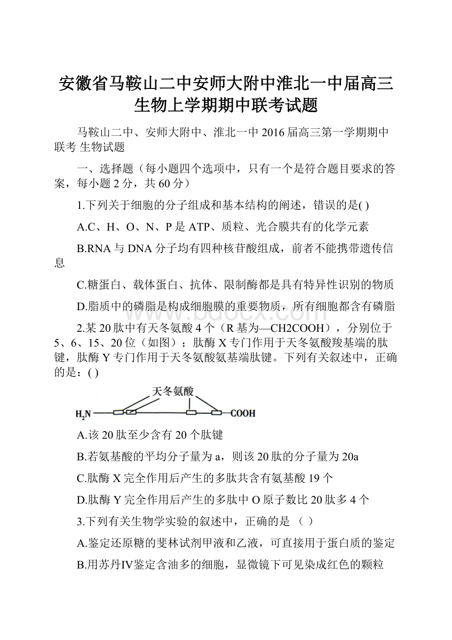 安徽省马鞍山二中安师大附中淮北一中届高三生物上学期期中联考试题.docx