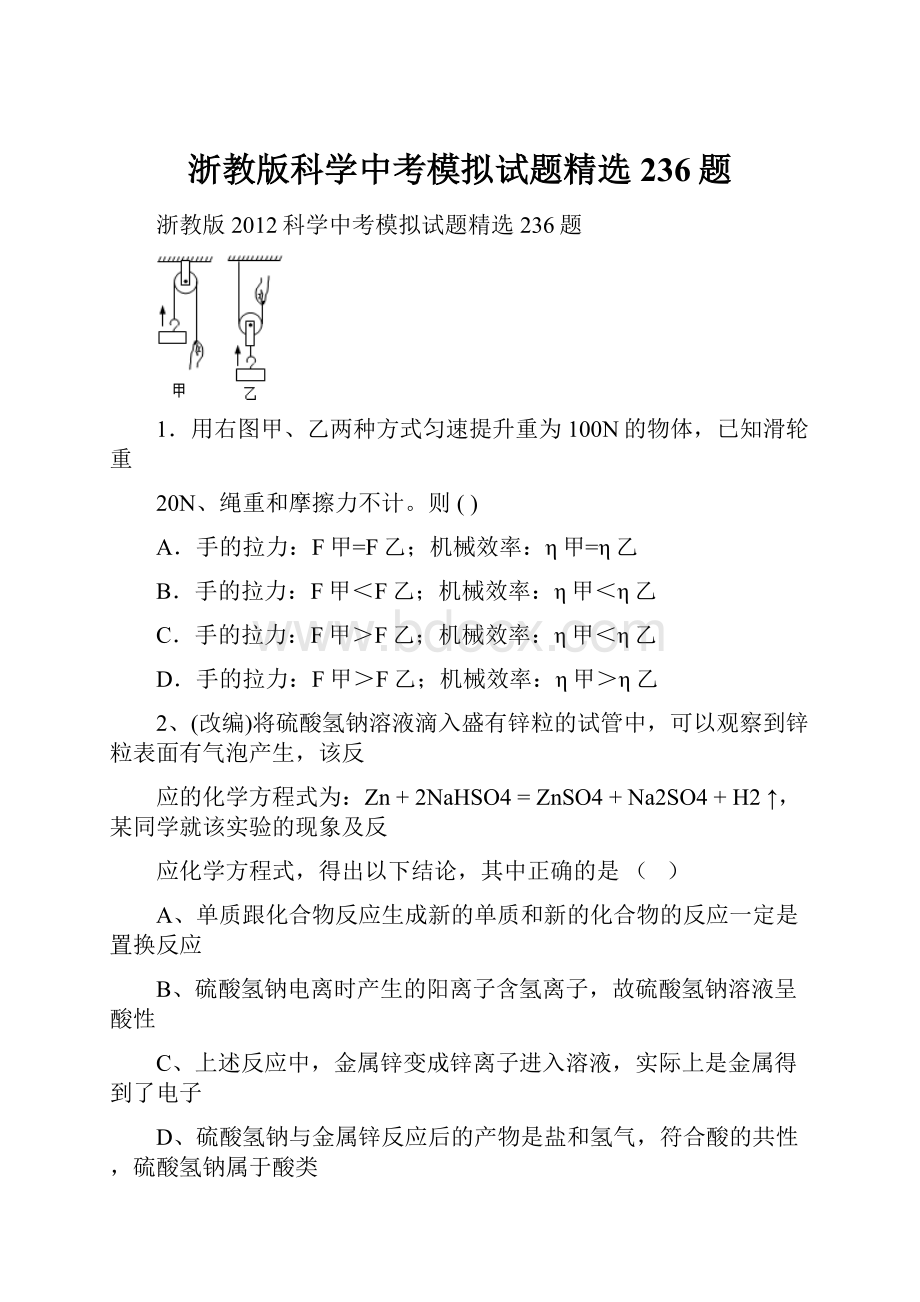 浙教版科学中考模拟试题精选236题.docx