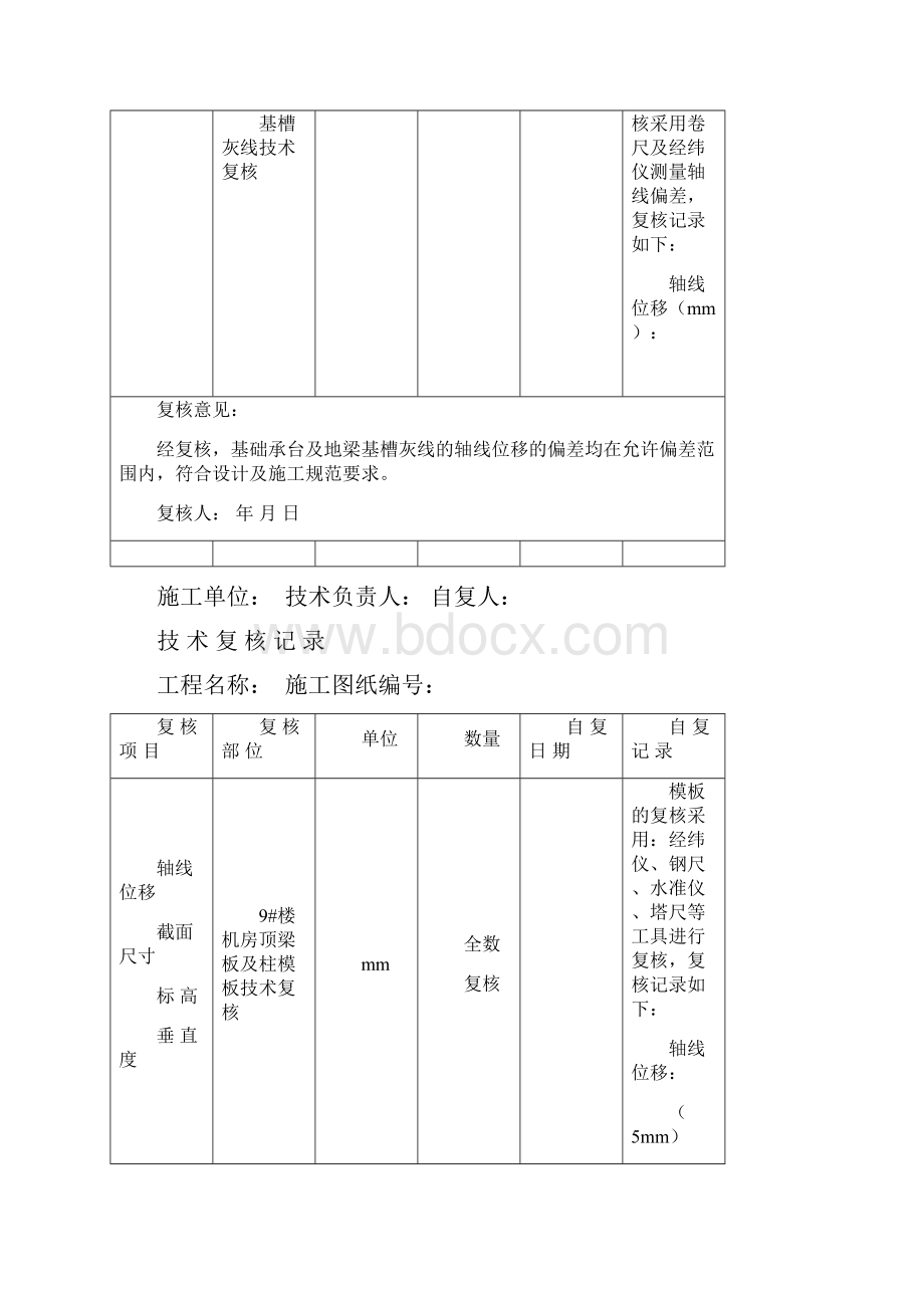 技术复核记录表格示范.docx_第3页