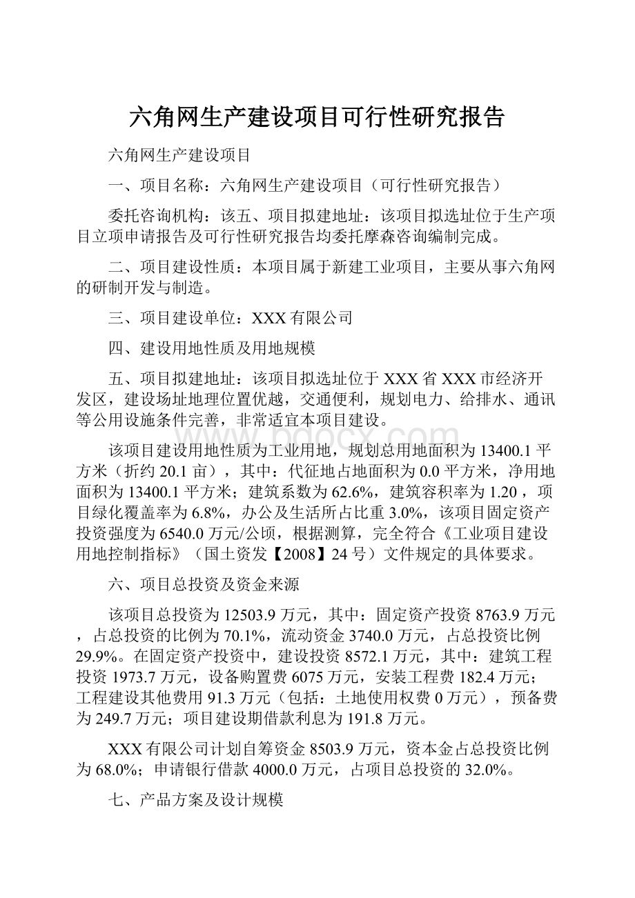 六角网生产建设项目可行性研究报告.docx_第1页