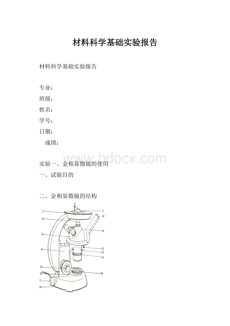 材料科学基础实验报告.docx