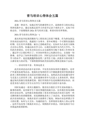 青马培训心得体会五篇.docx