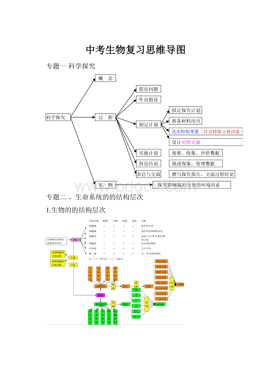 中考生物复习思维导图.docx