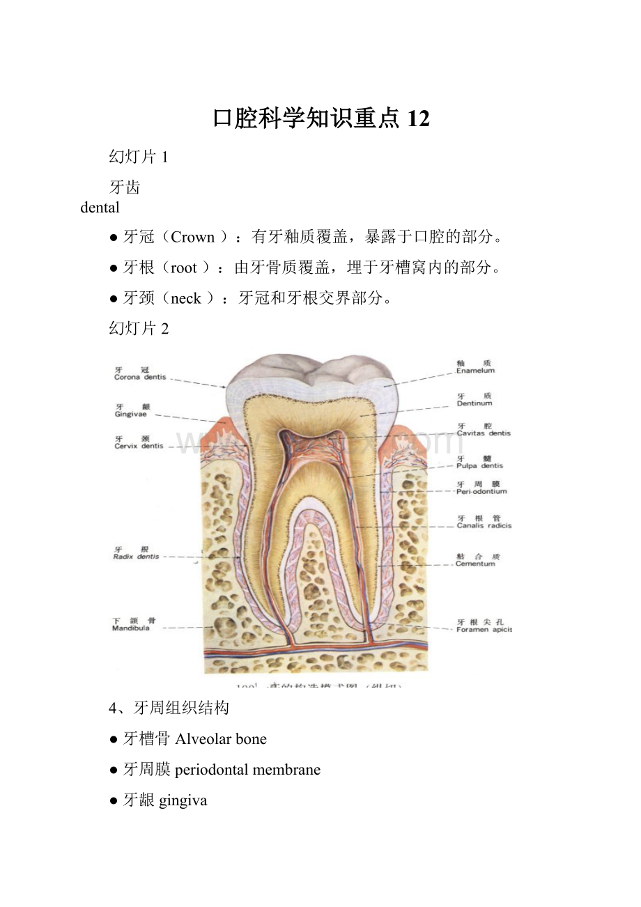 口腔科学知识重点12.docx