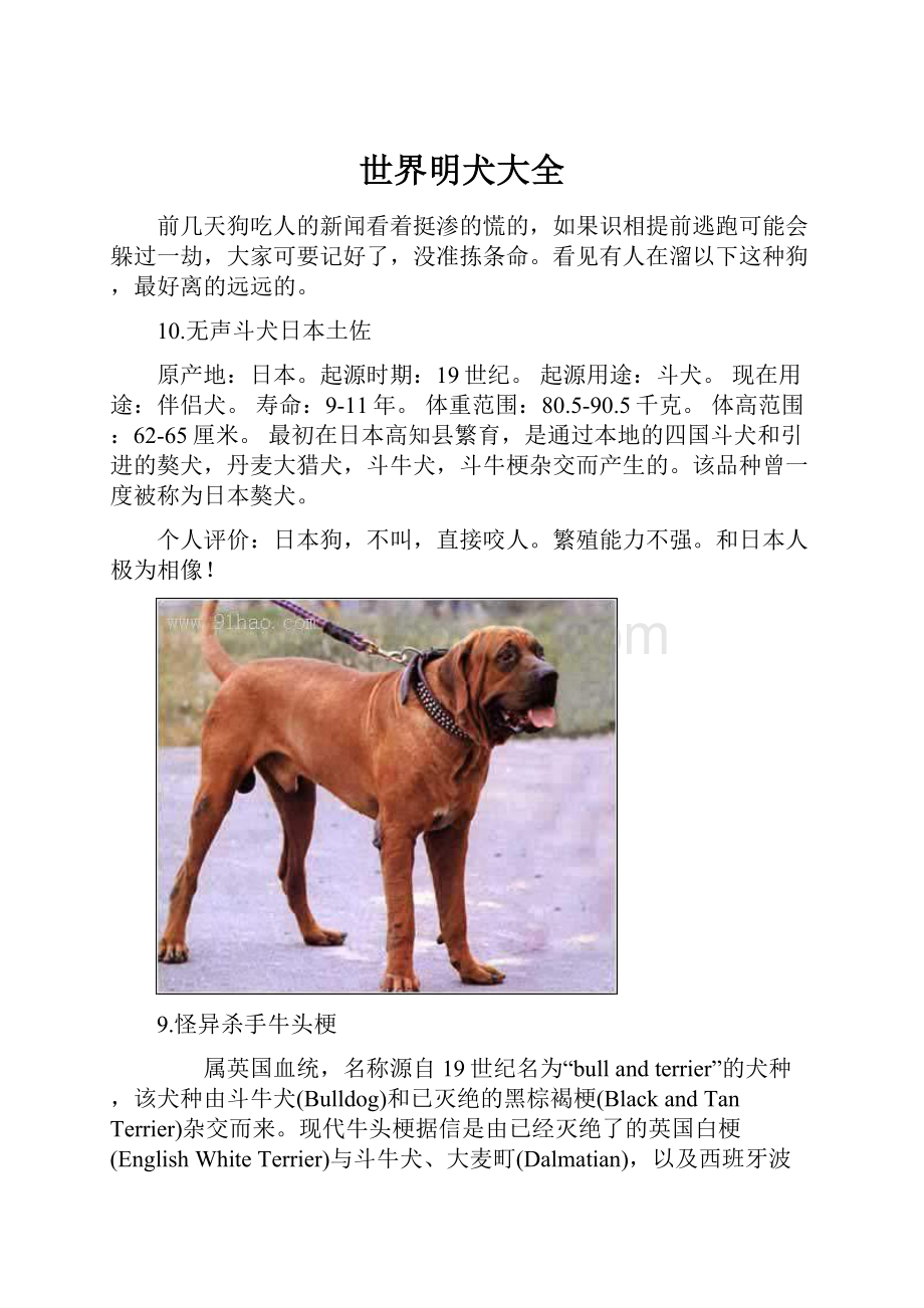 世界明犬大全.docx