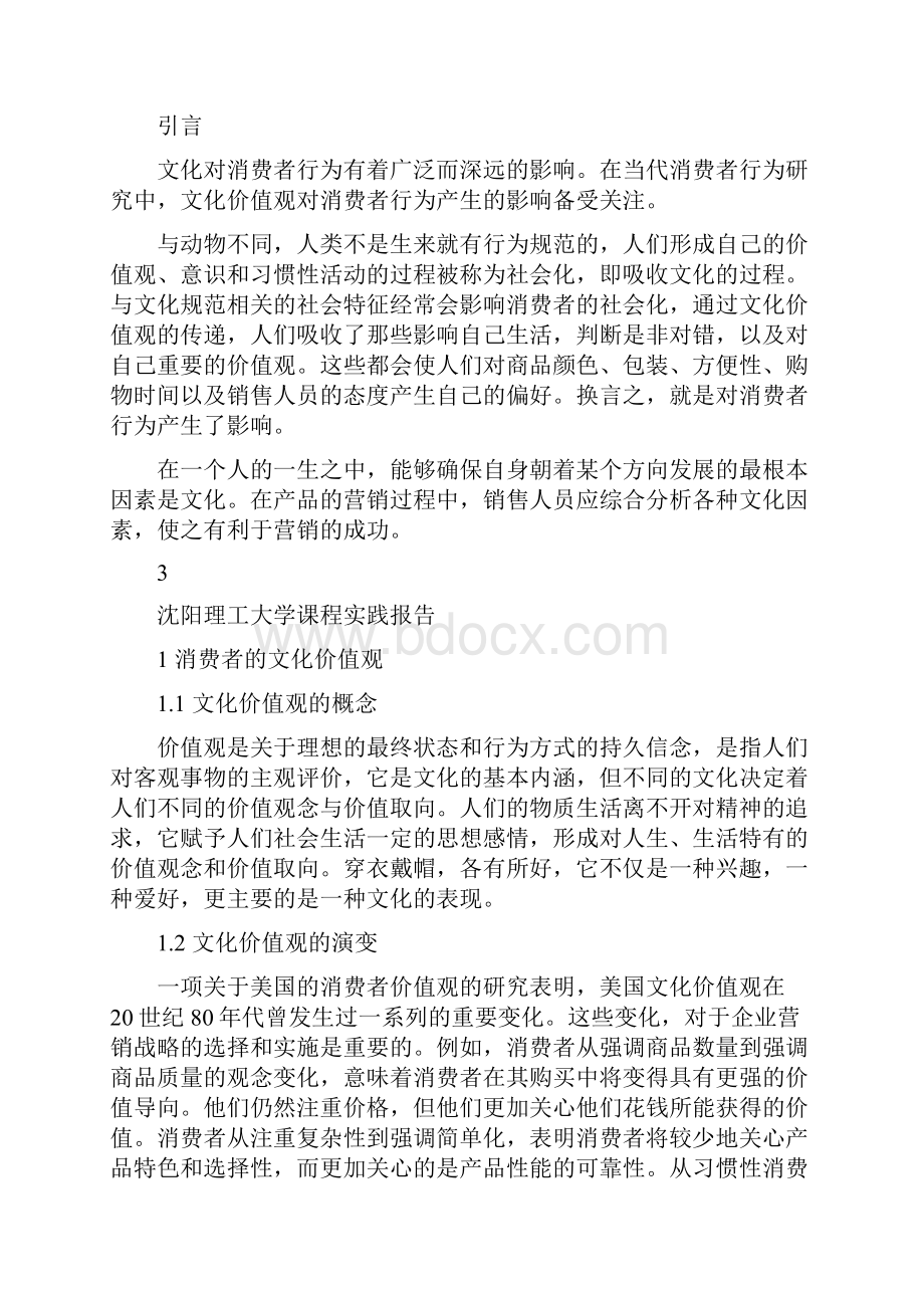 社会文化对消费者行为的影响.docx_第3页