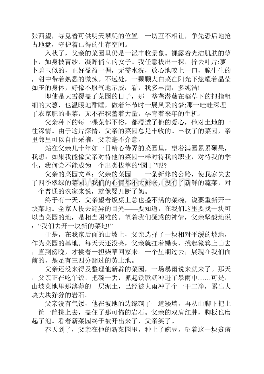 父亲的菜园文章父亲的菜园.docx_第2页