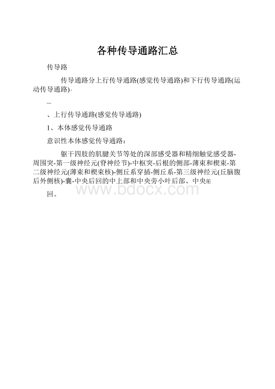 各种传导通路汇总.docx_第1页