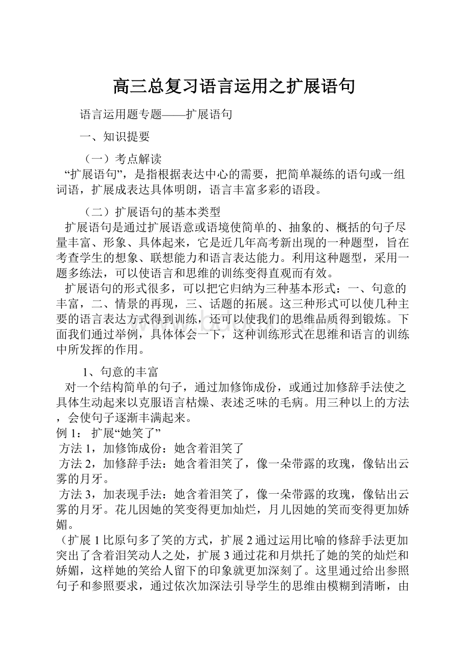 高三总复习语言运用之扩展语句.docx