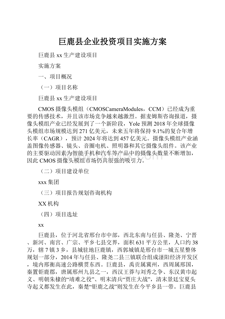 巨鹿县企业投资项目实施方案.docx