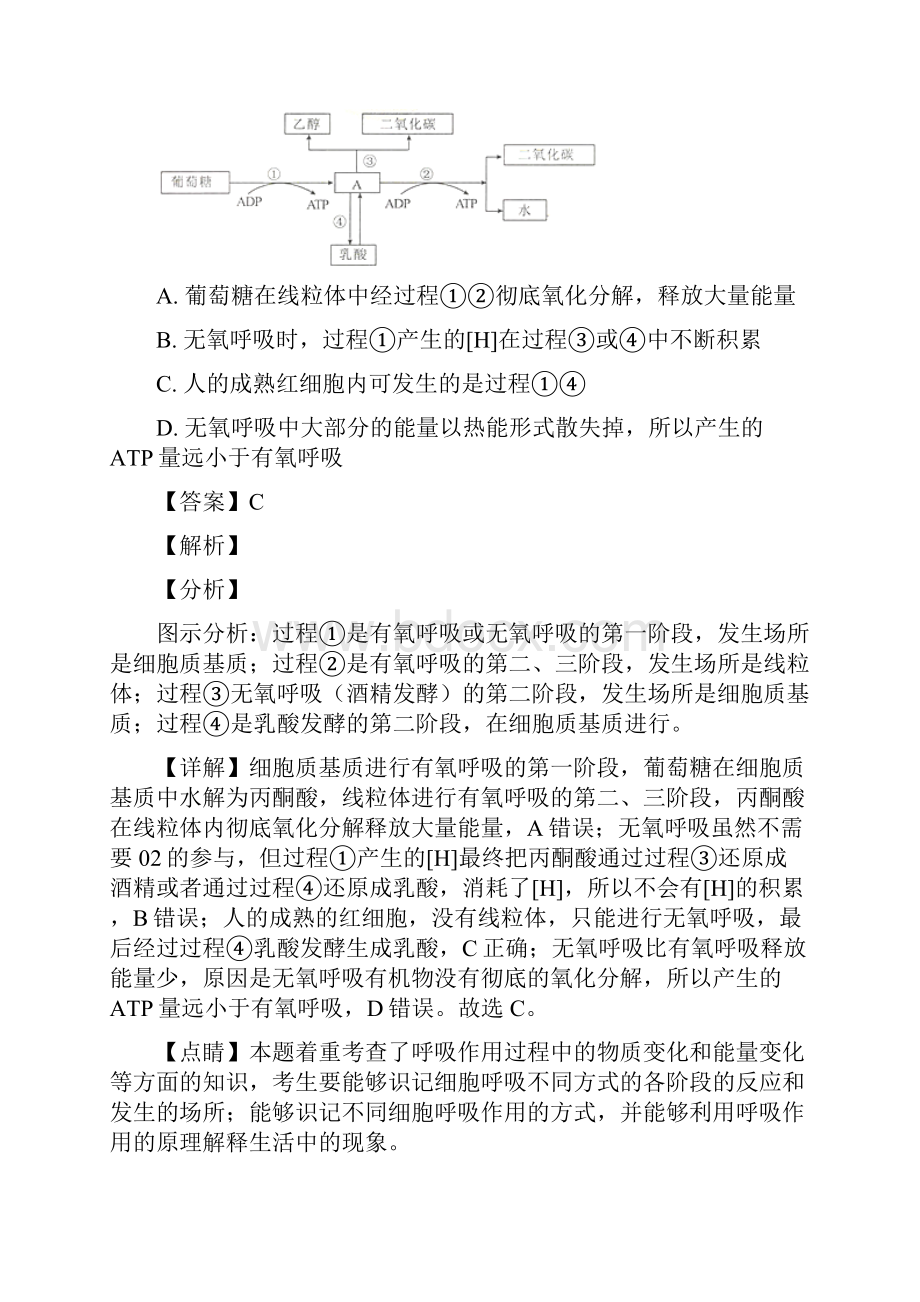 河北省衡水中学届高三下学期二调考试生物试题解析版.docx_第2页