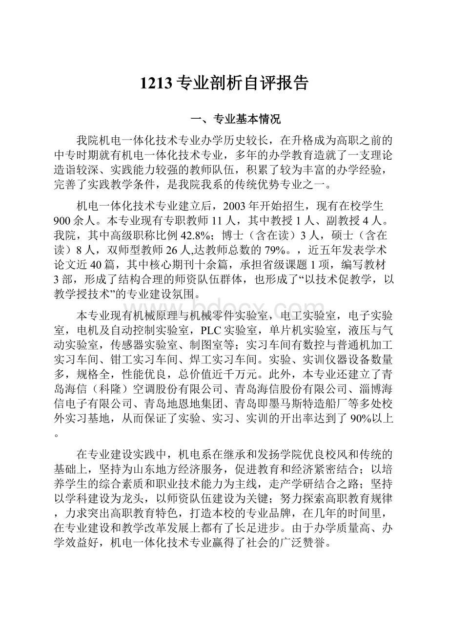 1213专业剖析自评报告.docx_第1页