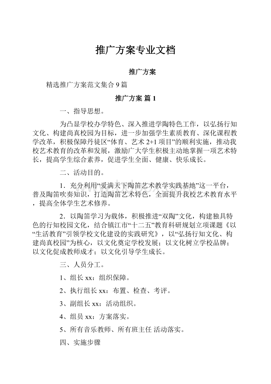 推广方案专业文档.docx