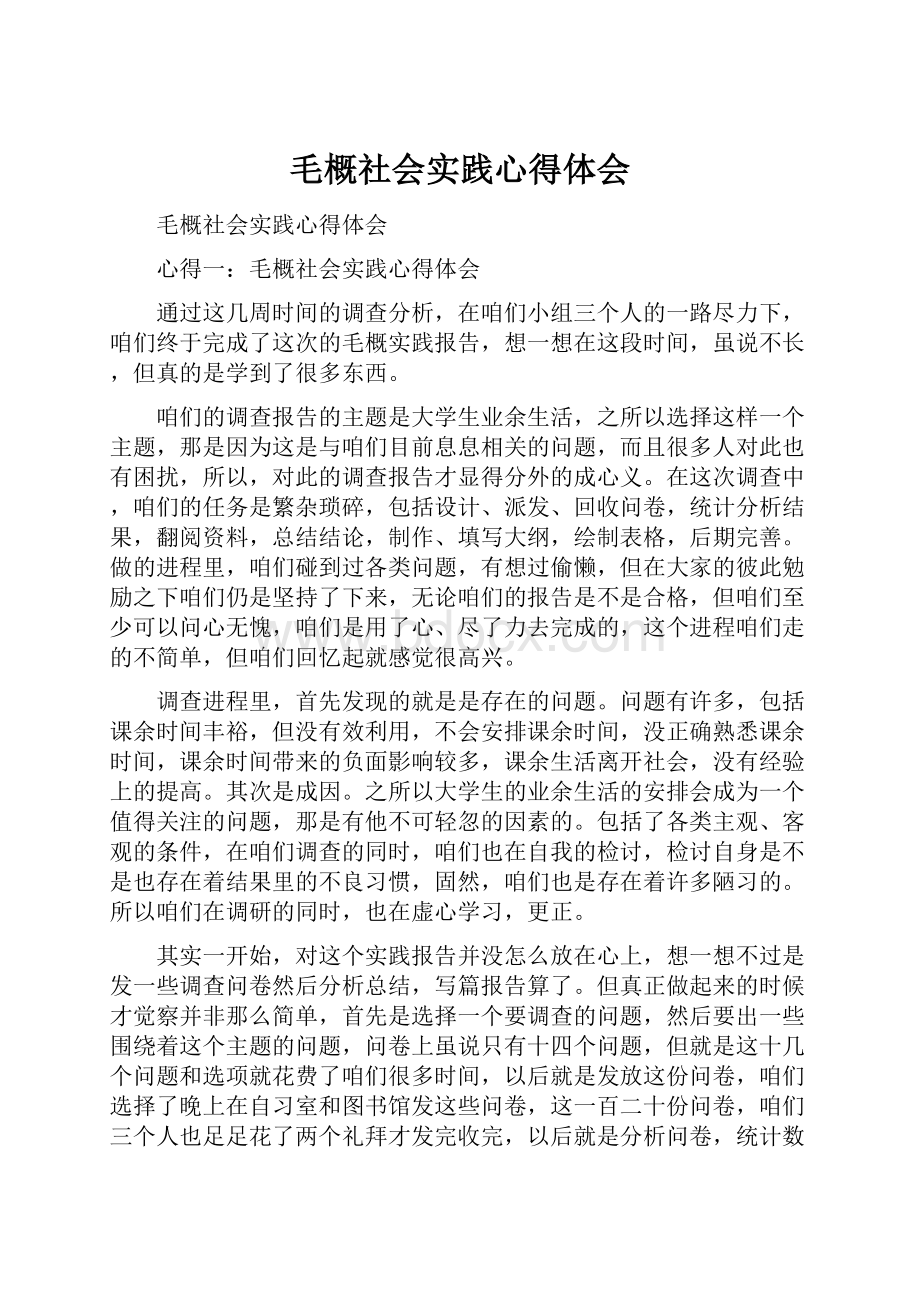 毛概社会实践心得体会.docx