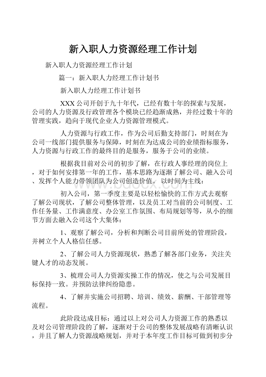 新入职人力资源经理工作计划.docx