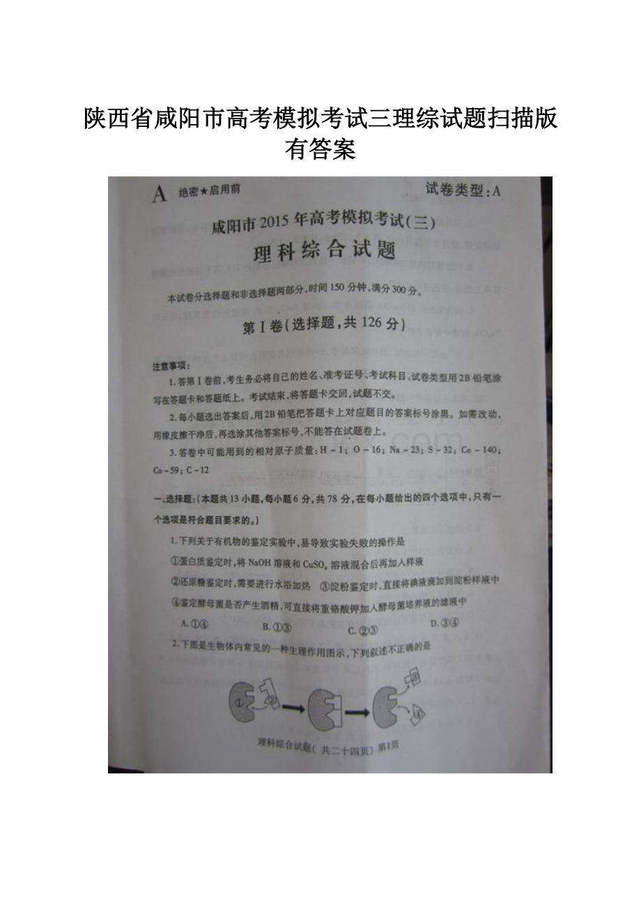 陕西省咸阳市高考模拟考试三理综试题扫描版有答案.docx