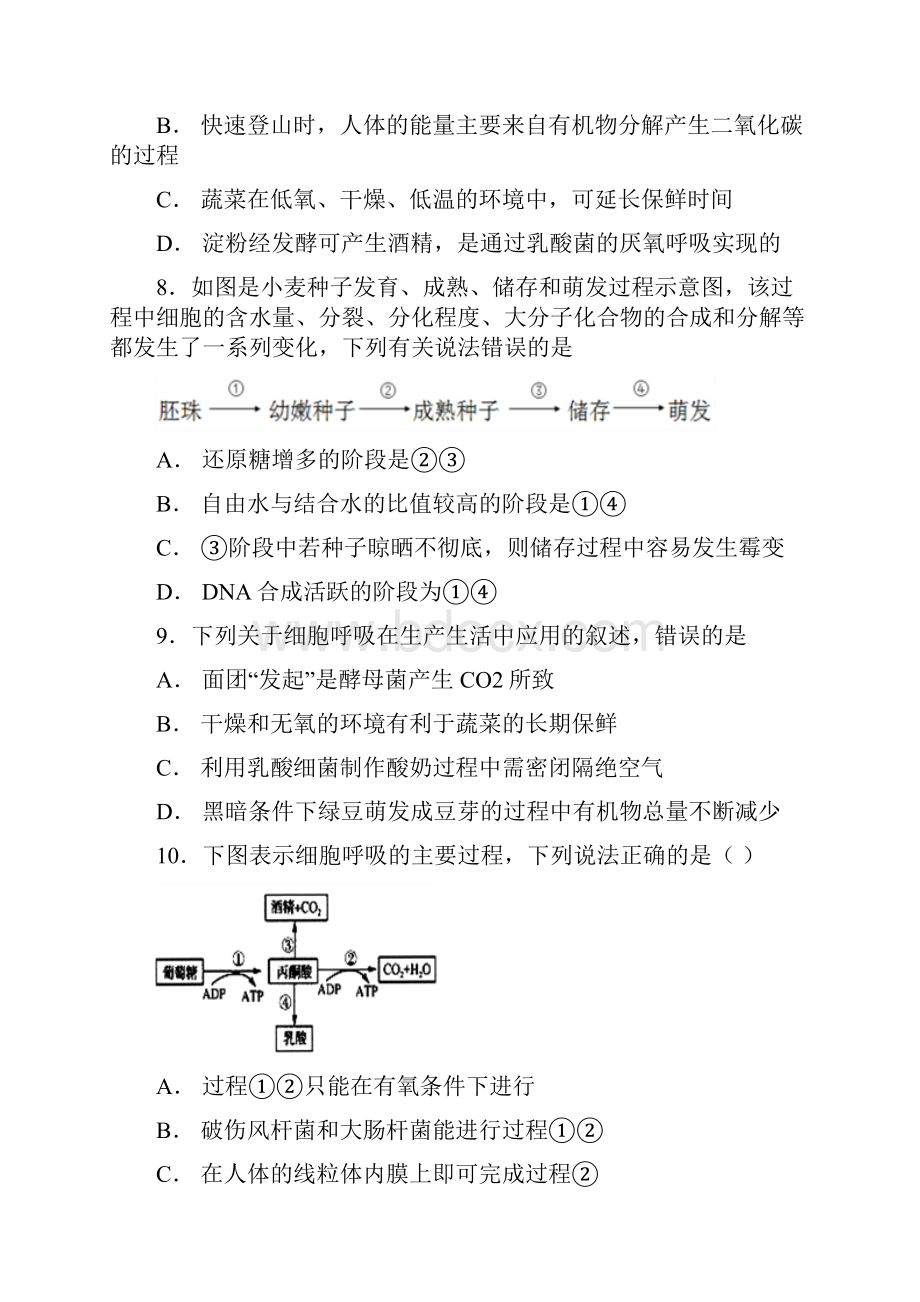 省重点高中 细胞呼吸的实质及意义 测试题.docx_第3页