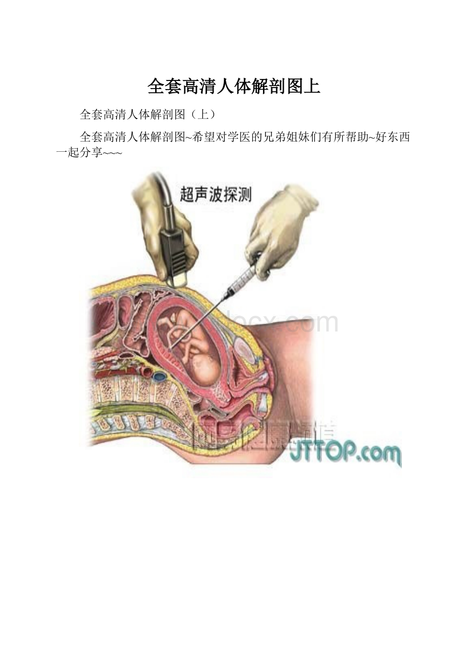 全套高清人体解剖图上.docx