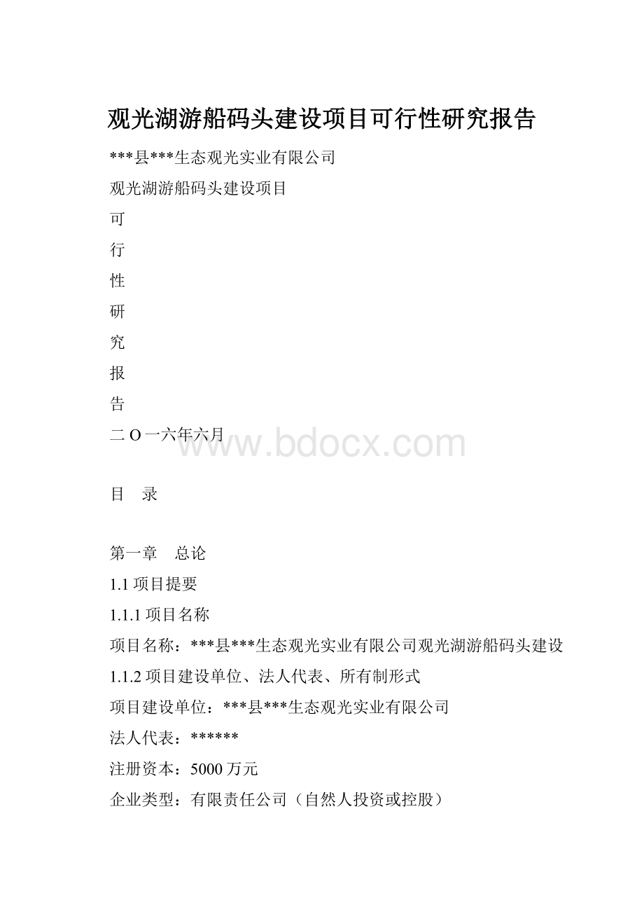 观光湖游船码头建设项目可行性研究报告.docx_第1页