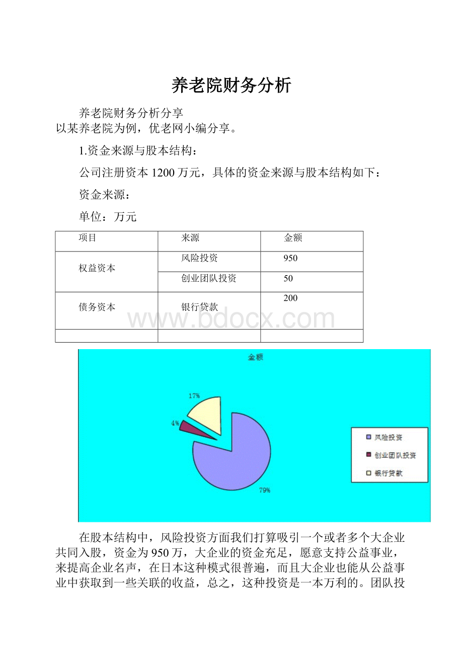 养老院财务分析.docx