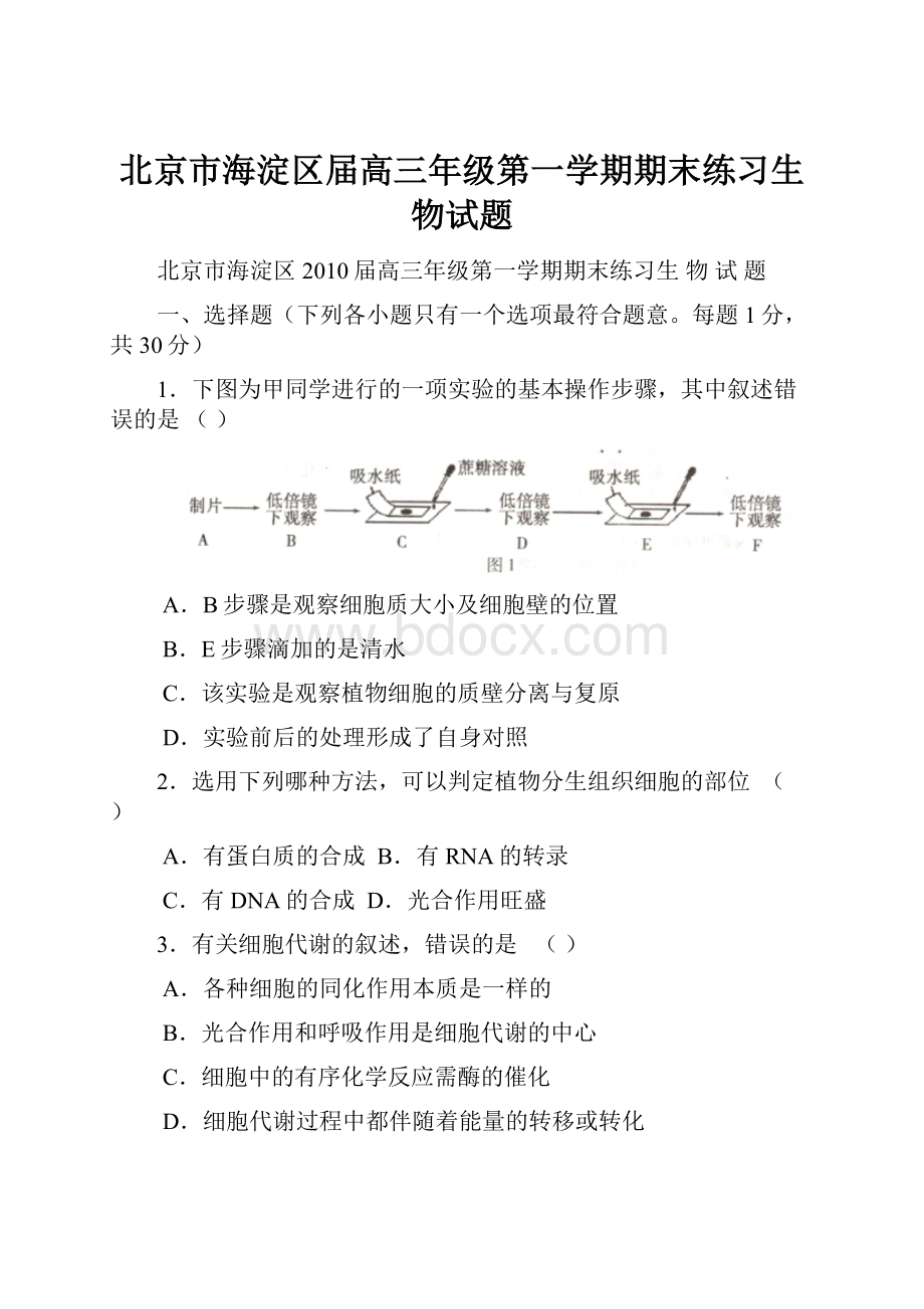 北京市海淀区届高三年级第一学期期末练习生物试题.docx