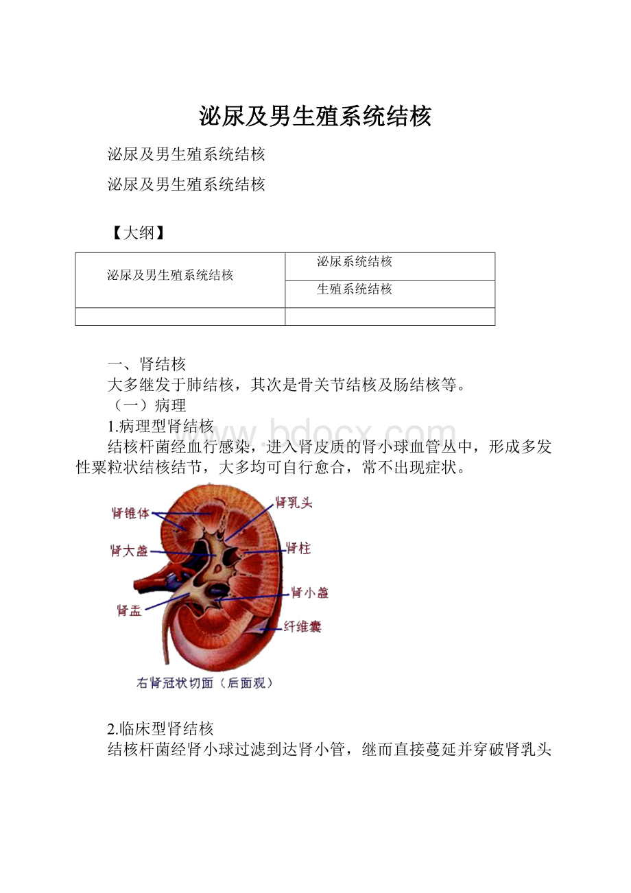 泌尿及男生殖系统结核.docx_第1页