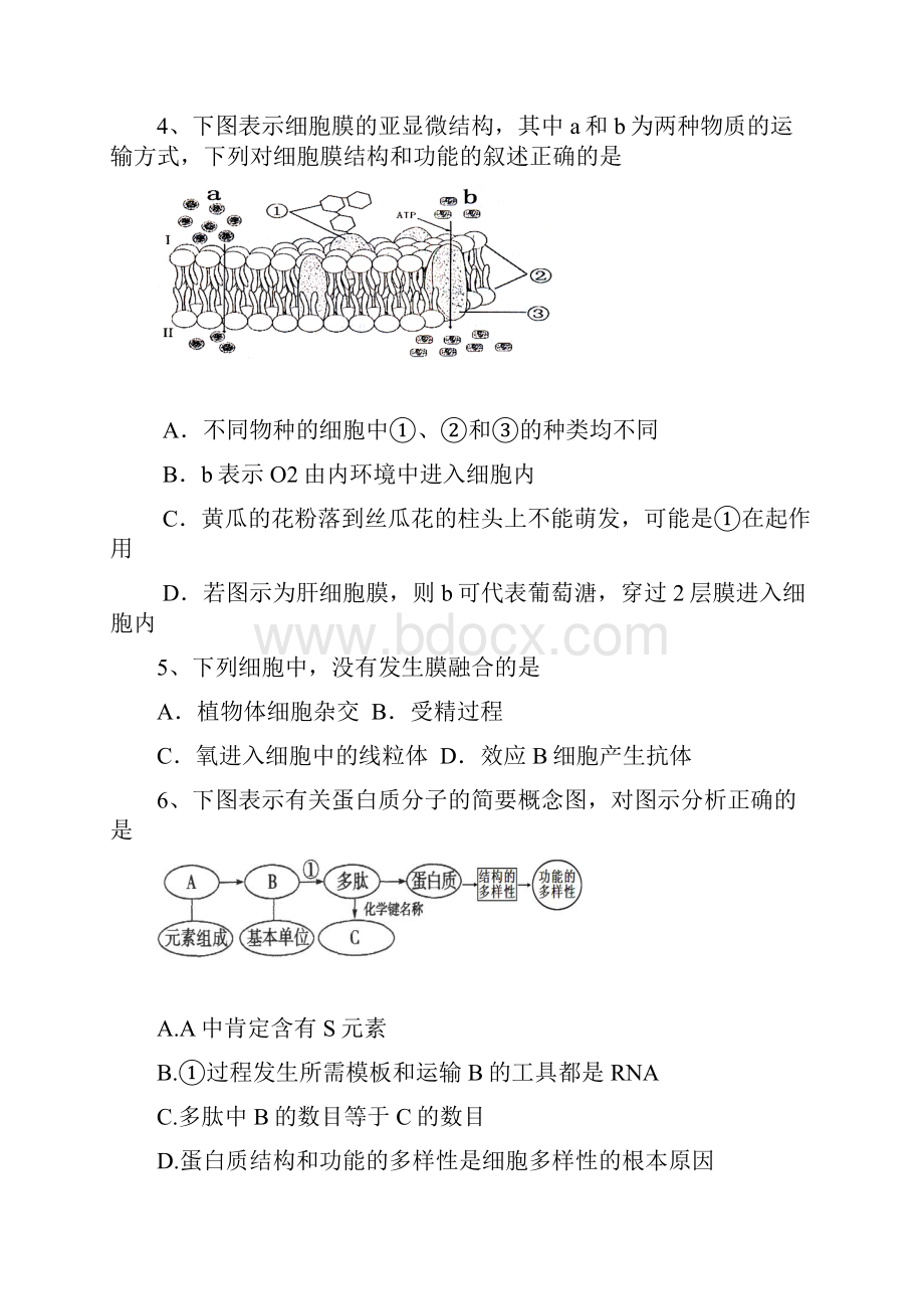 最新江西省玉山一中届高三上学期第四次月考生物.docx_第2页