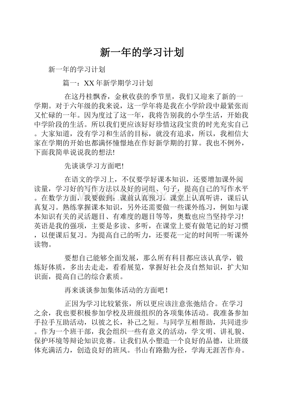 新一年的学习计划.docx