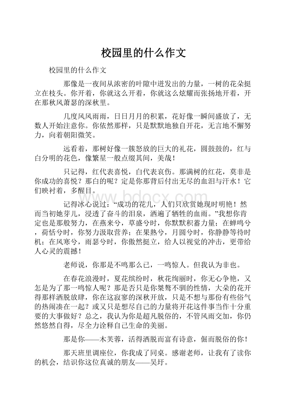 校园里的什么作文.docx_第1页