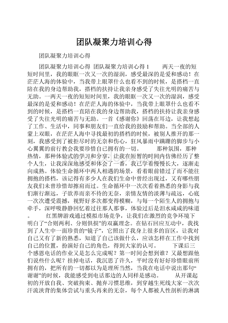 团队凝聚力培训心得.docx