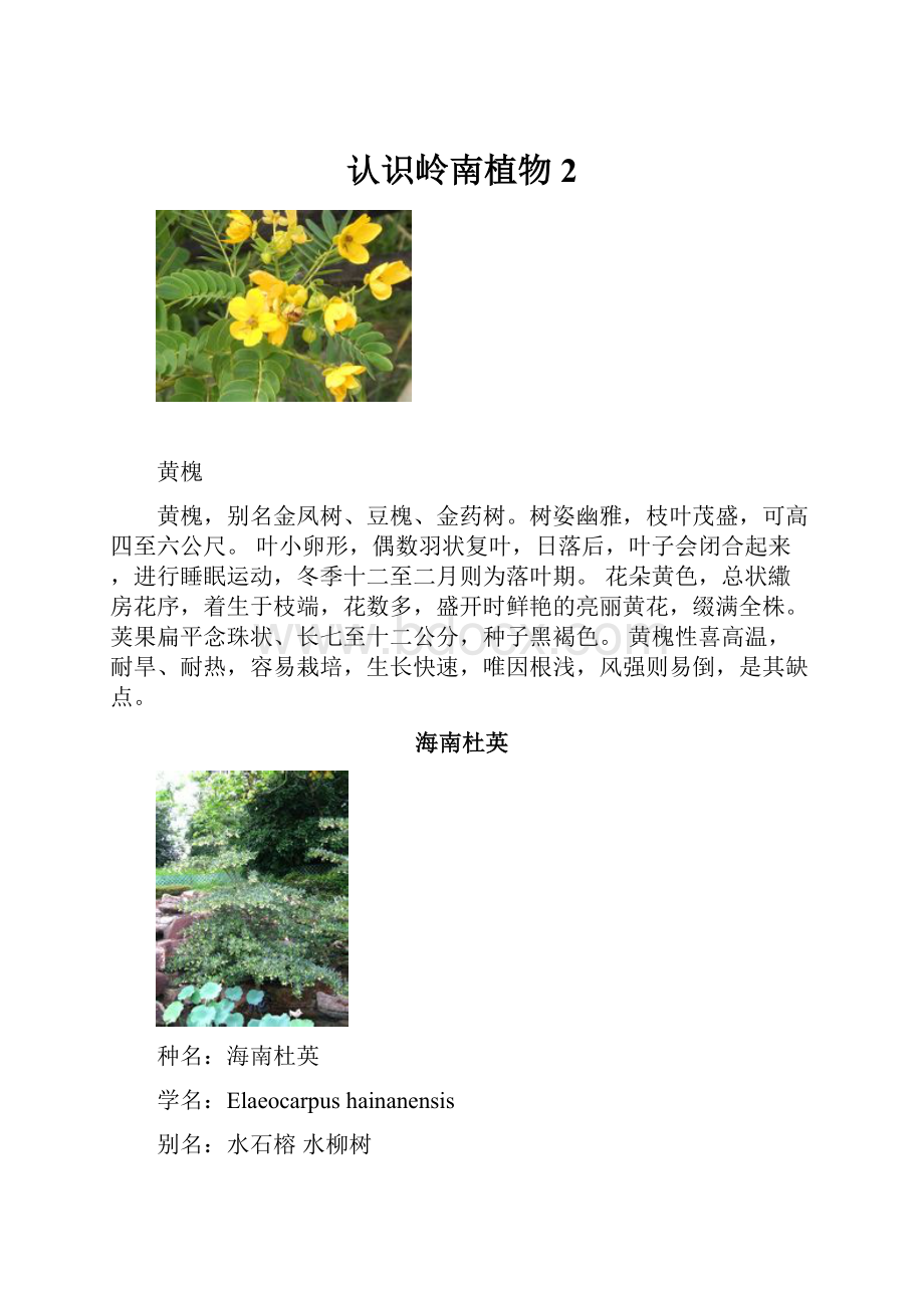 认识岭南植物2.docx