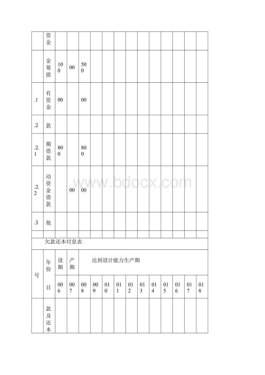 投资计划及资金筹措表.docx_第2页