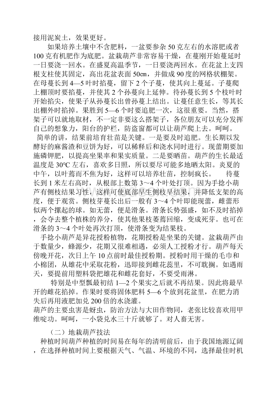 手捻葫芦以及各类葫芦的种植方法.docx_第2页