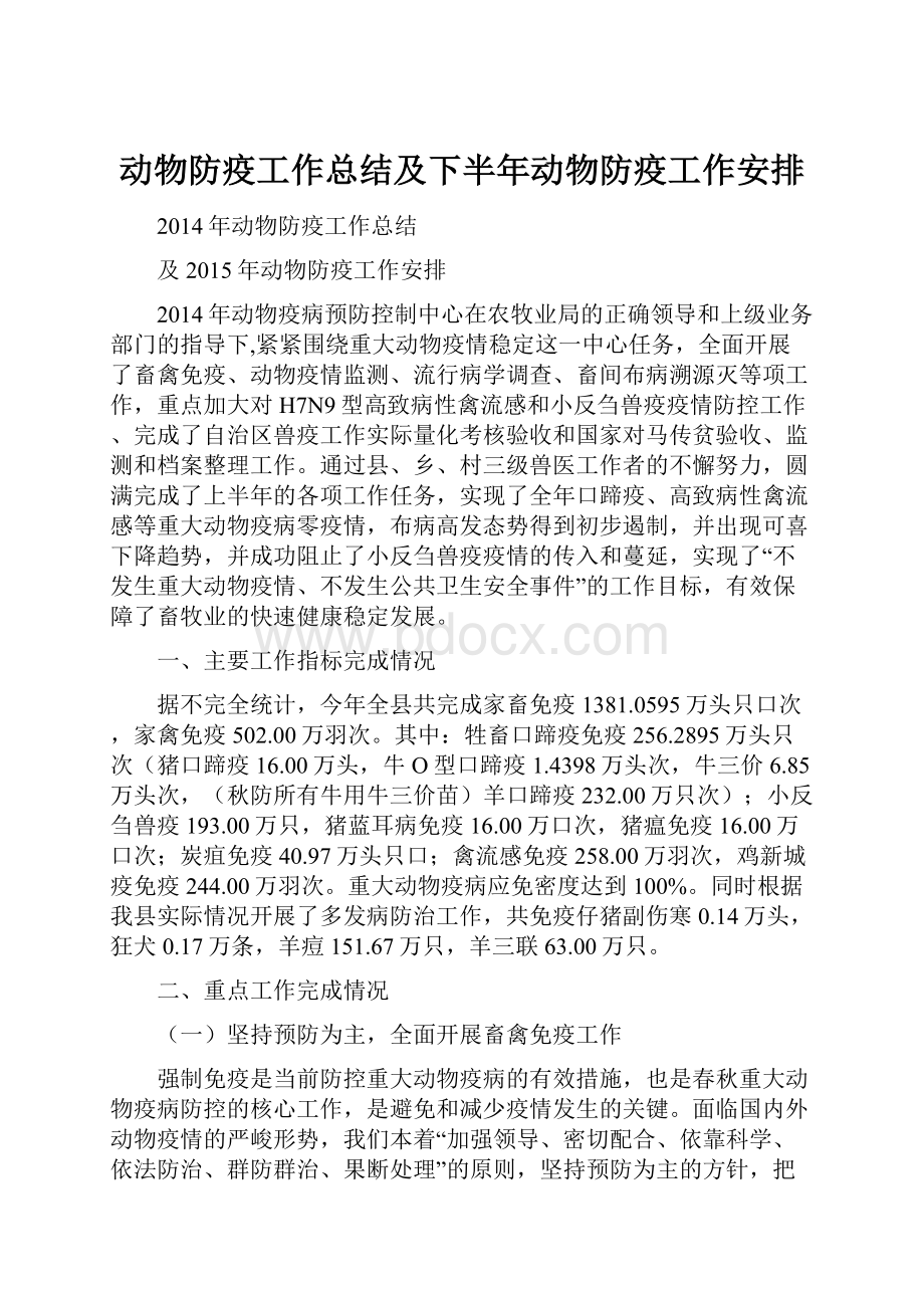 动物防疫工作总结及下半年动物防疫工作安排.docx