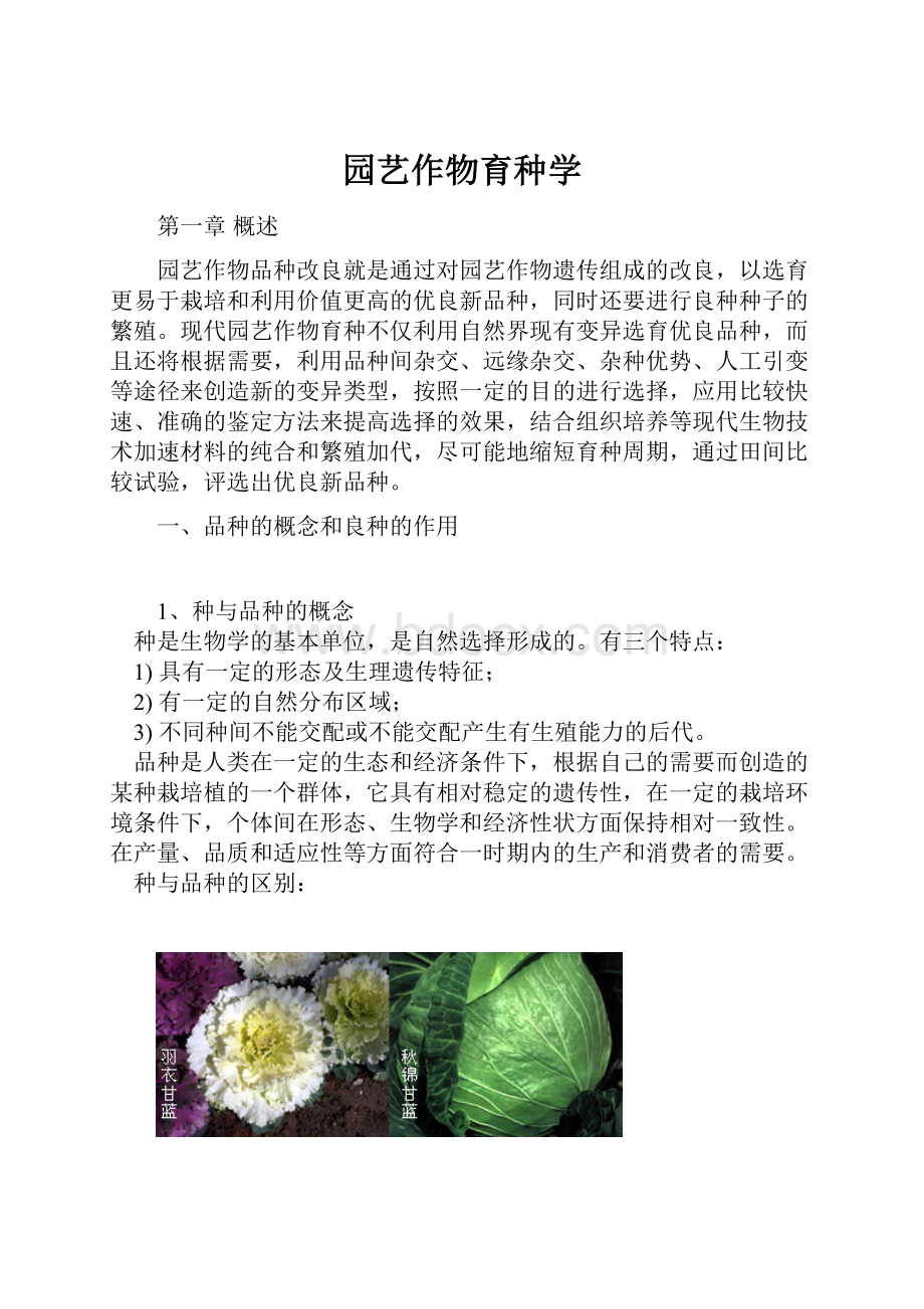 园艺作物育种学.docx