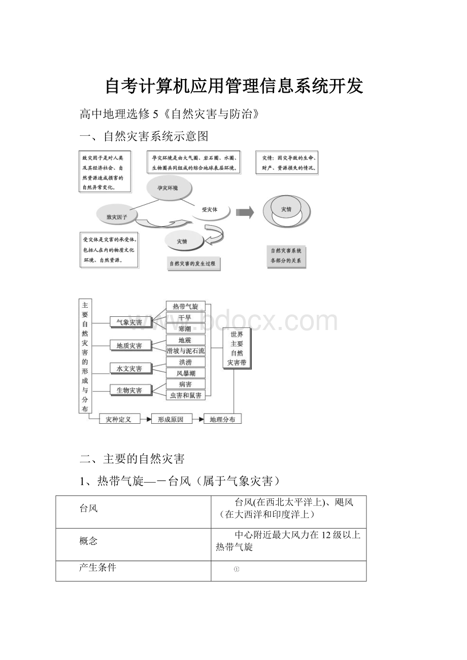 自考计算机应用管理信息系统开发.docx