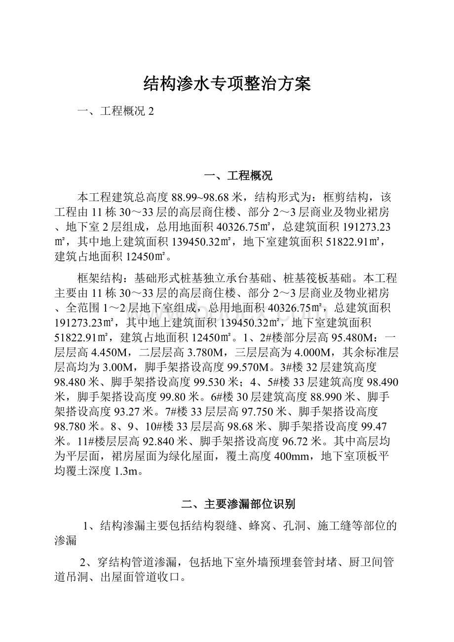 结构渗水专项整治方案.docx